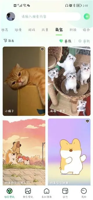 飞火动态壁纸(动态壁纸美化) 飞火动态壁纸(动态壁纸美化)