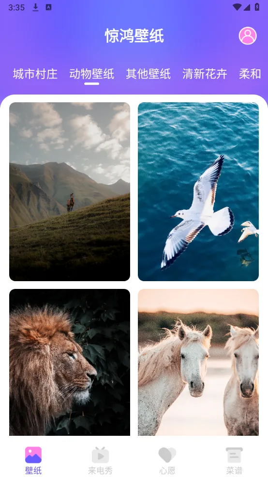 惊鸿壁纸安卓版手机版 惊鸿壁纸安卓版手机版