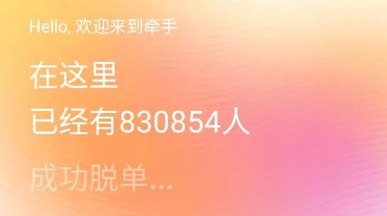 牵手(婚恋交友) 牵手(婚恋交友)