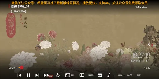 波波影视2025官方正版 波波影视2025官方正版