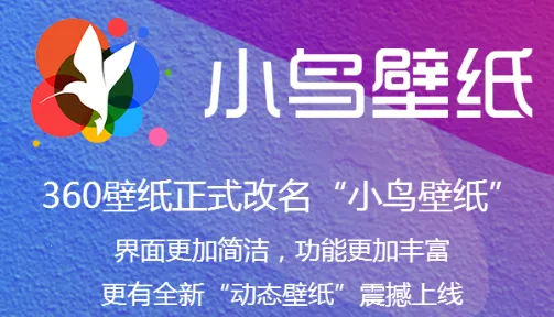 小鸟壁纸2025下载 小鸟壁纸2025下载