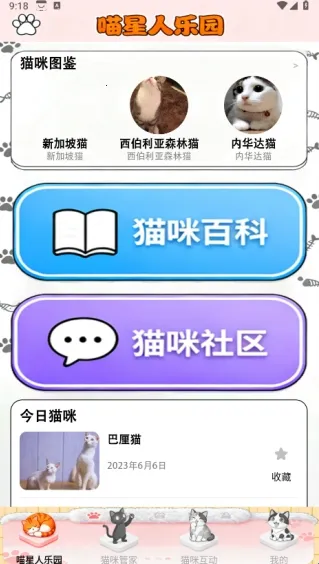 点个猫乐园2025最新版本 点个猫乐园2025最新版本