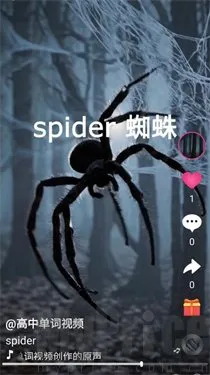 刷单词最新手机版 刷单词最新手机版