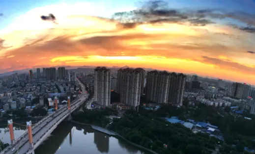 白话猫2025下载安装 白话猫2025下载安装