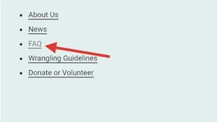 AO32025官方最新版本 AO32025官方最新版本