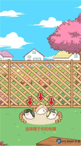 小花盆刺猬2025最新版本