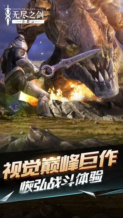 无尽之剑命运(动作格斗游戏)