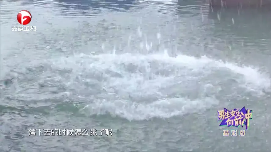 特狗大TV(影视播放平台) 特狗大TV(影视播放平台)