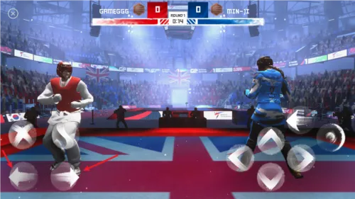 跆拳道大奖赛(跆拳道格斗游戏)