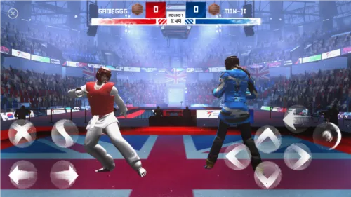 跆拳道大奖赛(跆拳道格斗游戏)