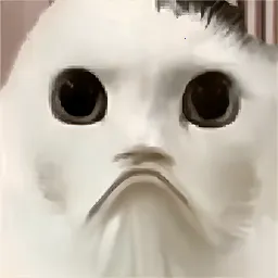 猫猫惊魂夜(恐怖解谜游戏)