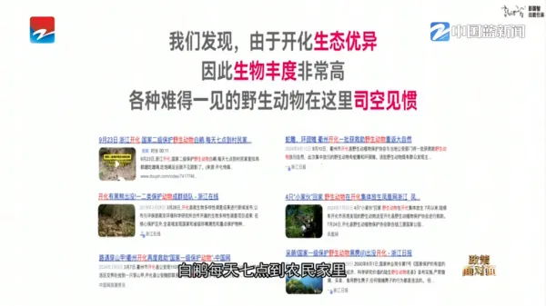 IPv6电视直播安卓版手机版 IPv6电视直播安卓版手机版