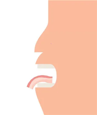 培根2025下载安装 培根2025下载安装