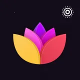 ��ֽ��(�ֻ���ֽ����)v1.8 �ٷ���