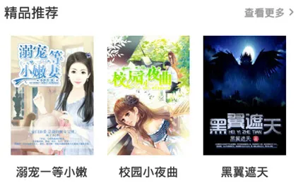 ̩��С˵(С˵�Ķ�����)