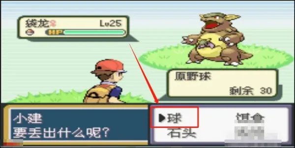 �ڴ�����ȥ��Ƥ����(���������ɶ�ս)