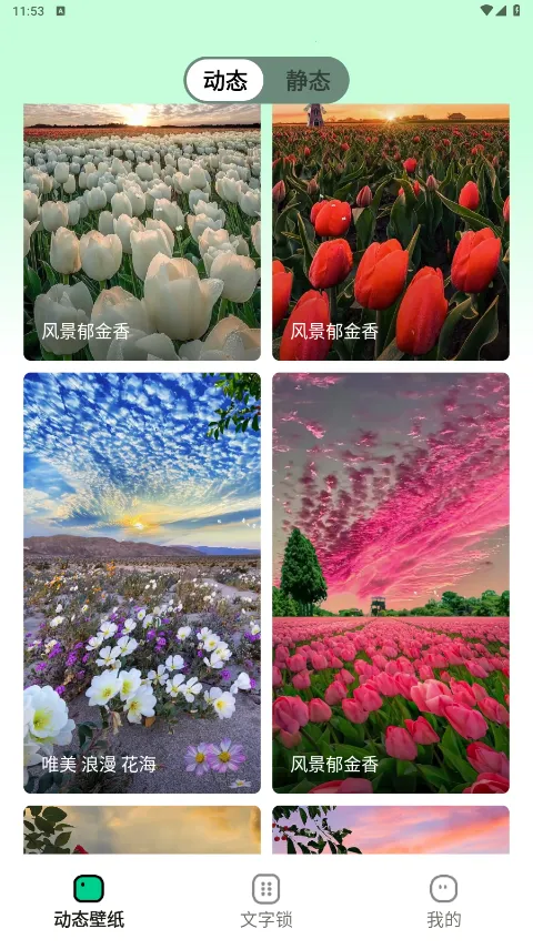 ����ֽ(�����ֽ����)