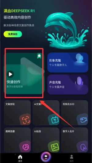 ����(AI����ƽ̨)