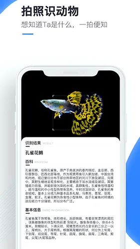 百科扫描王(拍照识别软件) 百科扫描王(拍照识别软件)