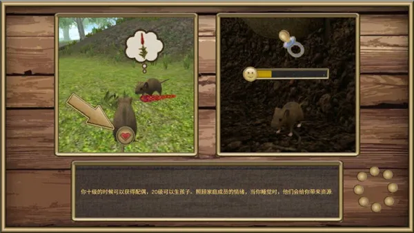 ������¥֮��2026���ذ�װ