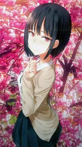 ����С����2026����