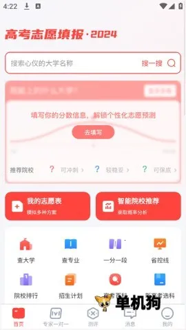 ����߿���