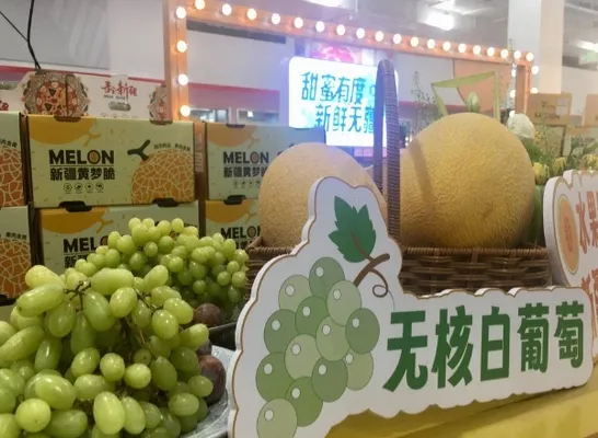 M��Ա�̵�2026���°汾