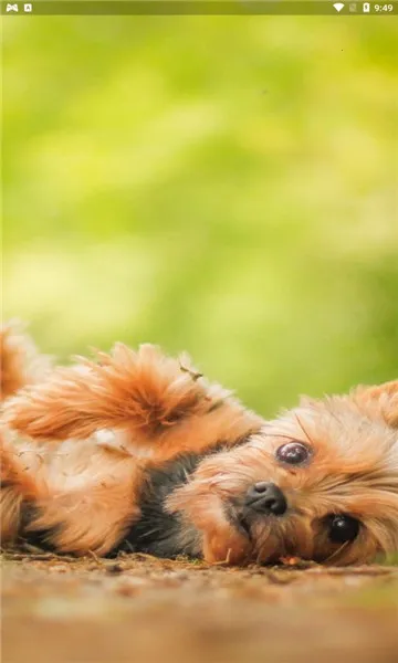 С��������