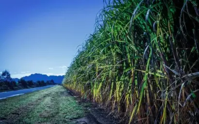 ����ũ��