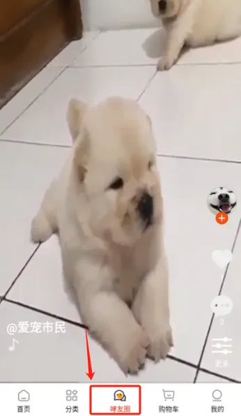 ��С�������ֻ���