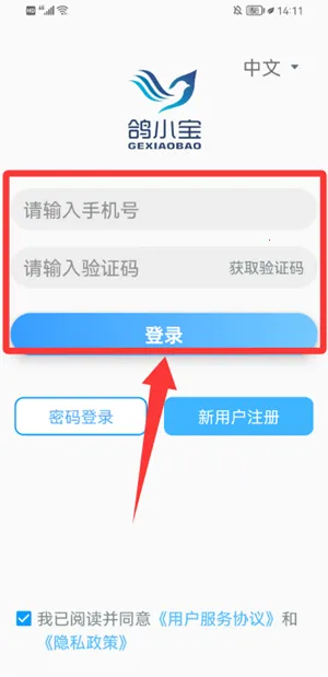 鸽小宝2026下载安装 鸽小宝2026下载安装