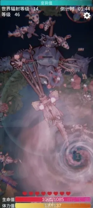 ����֮��2026����