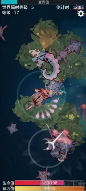 ����֮��2026����