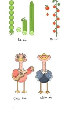 ������س�