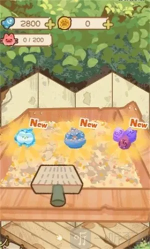 è��èʺ��2026�ٷ�����