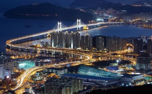 ���ɱ�ֽ2026�ٷ�����