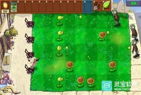 pvzţͷ2026����