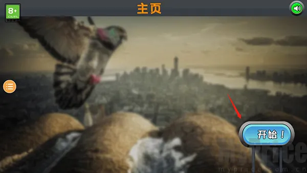 ����ģ����2026���ذ�װ