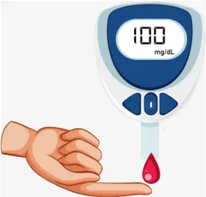 ����2026�ٷ����°汾