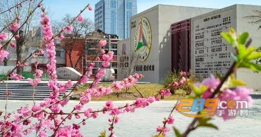 �й���ý��ѧ2026���ذ�װ