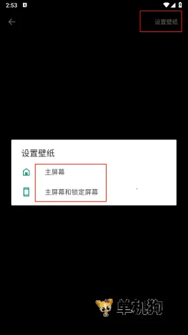 ��ֽ����Wallpaper