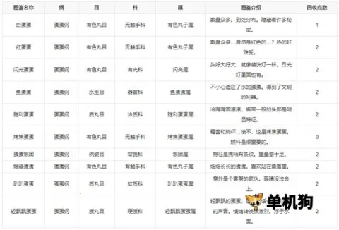 ���ַ��������о���