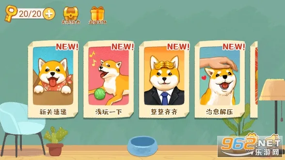 �������ɹ�