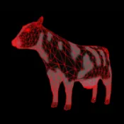 无人机保护动物模拟器