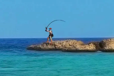 渔获安卓版手机版