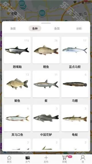 渔获安卓版手机版