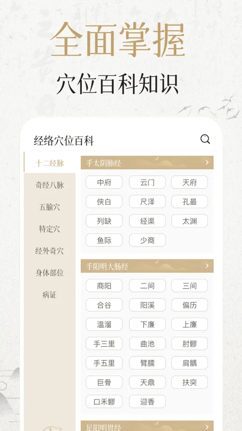 中济经络穴位安卓版手机版