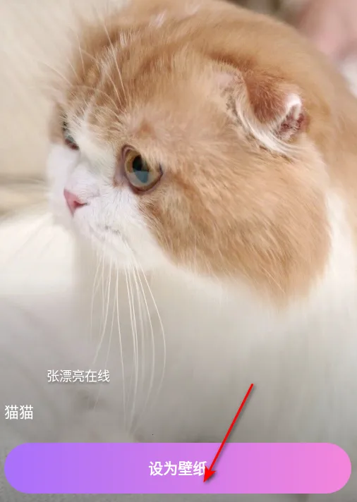 拇指壁纸2026最新版本