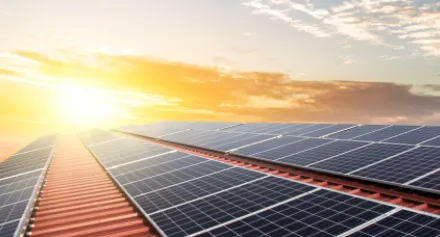 ��ⱦ��2026���°汾