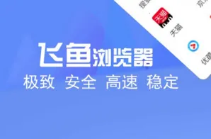 飞鱼浏览器安卓版 飞鱼浏览器安卓版